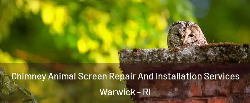  Chimney Animal Screen Repair And Installation Services Warwick - RI