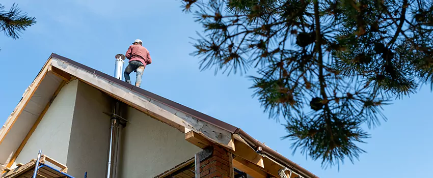 Birds Removal Contractors from Chimney in Warwick, RI