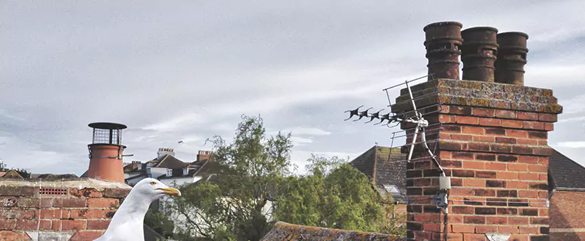 Chimney Cleaning And Restoration in Warwick, Rhode Island